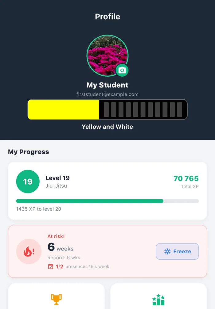 Gamification